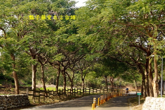 后豐鐵馬道一日遊．減肥甩肉飽覽美景【豔子藤旅遊全地圖】
