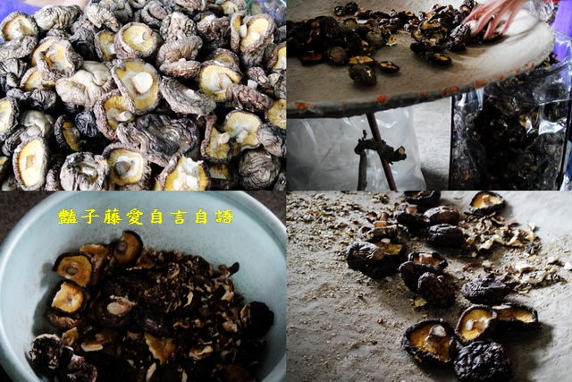 台中在地小吃＆玉山香菇。品嚐香菇的最好時機【豔子藤就是愛美食】
