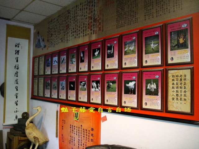 老屋老樹人文會館．創意台中觀光文創新亮點【豔子藤旅遊全地圖】