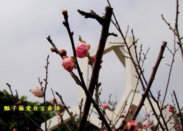 台中旅遊＆大甲鐵砧山劍井古蹟歷史傳說。綠意步道人文風情【豔子藤旅遊全地圖】