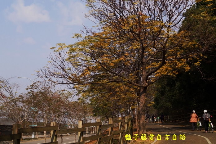 后豐鐵馬道一日遊．減肥甩肉飽覽美景【豔子藤旅遊全地圖】