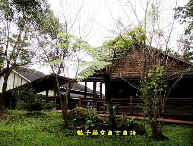 南投旅遊＆台灣最美麗的森林小學。鹿谷內湖國小【豔子藤旅遊全地圖】登上聯合新聞網首頁