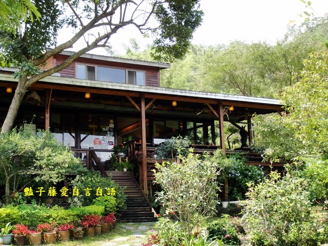 橄欖樹夢想園地。招牌美食搖擺雞想吃要先預訂【豔子藤就是愛美食】感謝推薦登上聯合新聞網首頁