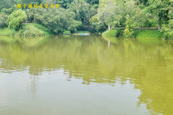 【江南渡假村】台南旅遊．體驗全國唯一水庫跳水．獨木舟遊江南．台糖尖山埤親子遊．台南一日遊動靜皆宜