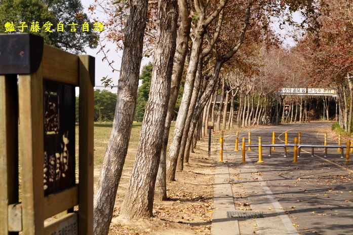 后豐鐵馬道一日遊．減肥甩肉飽覽美景【豔子藤旅遊全地圖】