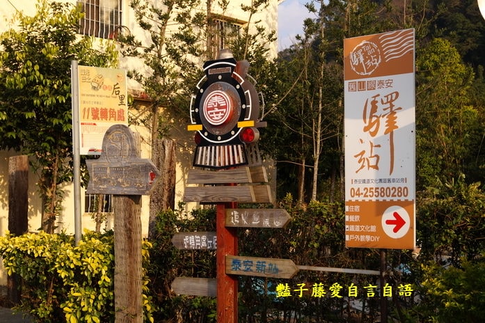 櫻花祭前．臺中市后里泰安商圈樂活深度一日遊【豔子藤臺中商圈一日遊】