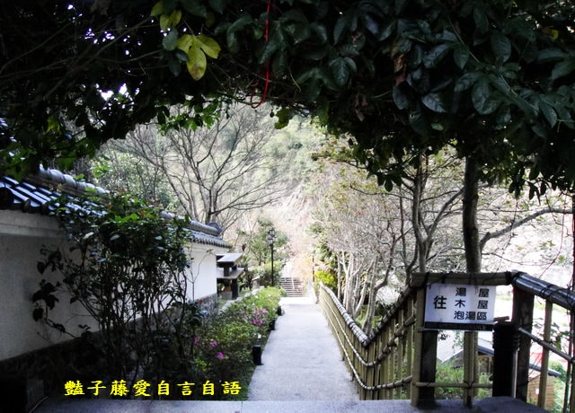台中旅遊＆統一谷關溫泉養生會館。日式庭園露天溫泉泡湯去【豔子藤旅遊全地圖】