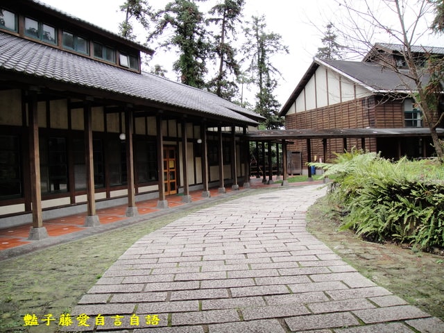 南投旅遊＆台灣最美麗的森林小學。鹿谷內湖國小【豔子藤旅遊全地圖】登上聯合新聞網首頁