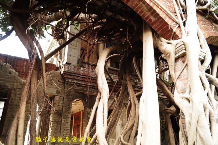 台中烏日巴洛克建築之美．步步驚心聚奎居【豔子藤旅遊全地圖】