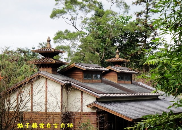 南投旅遊＆台灣最美麗的森林小學。鹿谷內湖國小【豔子藤旅遊全地圖】登上聯合新聞網首頁