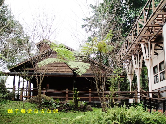 南投旅遊＆台灣最美麗的森林小學。鹿谷內湖國小【豔子藤旅遊全地圖】登上聯合新聞網首頁