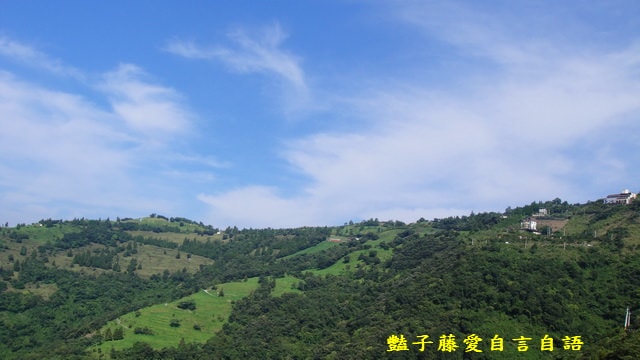 南投旅遊＆清境蕓蘆民宿。風起雲嵐！看台灣小瑞士山景【豔子藤旅遊全地圖】