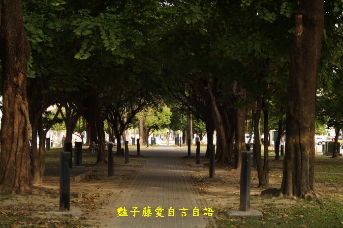 臺中市美術園道商圈樂活深度一日遊【豔子藤臺中商圈一日遊】