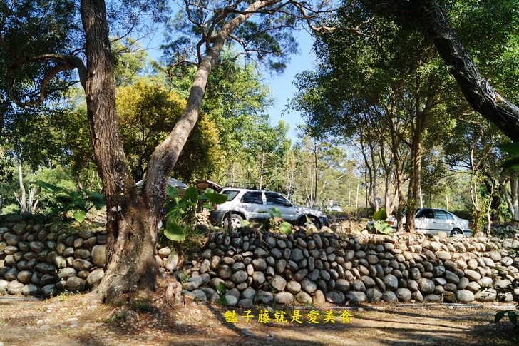 【夯伯燒烤萬用爐】360度自動旋轉炭火烤肉爐．翻轉吧！輕鬆烤全雞．豔子藤就是愛美食