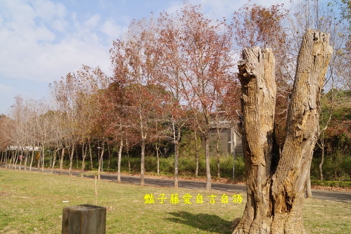 后豐鐵馬道一日遊．減肥甩肉飽覽美景【豔子藤旅遊全地圖】