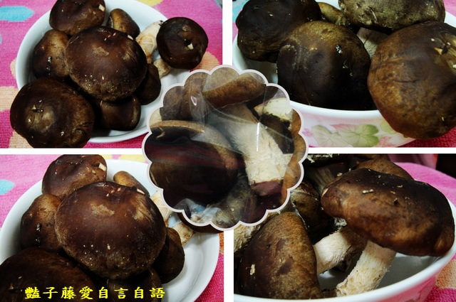 台中在地小吃＆玉山香菇。品嚐香菇的最好時機【豔子藤就是愛美食】