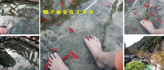 台中旅遊＆統一谷關溫泉養生會館。日式庭園露天溫泉泡湯去【豔子藤旅遊全地圖】