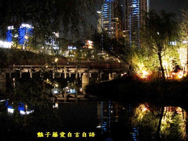 台中旅遊＆秋紅谷廣場。一場美麗的意外【豔子藤旅遊全地圖】
