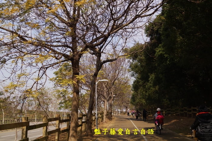 后豐鐵馬道一日遊．減肥甩肉飽覽美景【豔子藤旅遊全地圖】