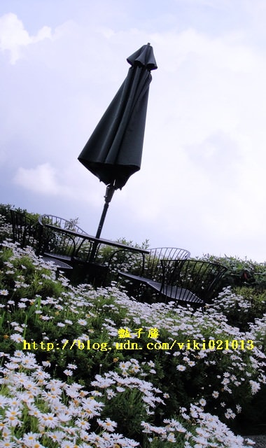 南投旅遊＆清境蕓蘆民宿。風起雲嵐！看台灣小瑞士山景【豔子藤旅遊全地圖】