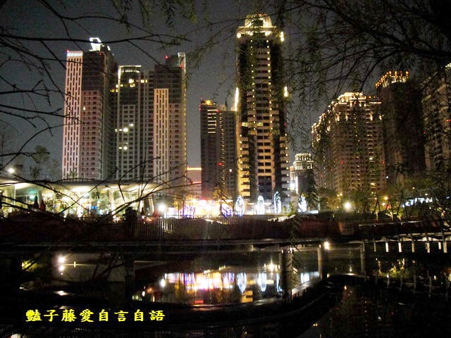台中旅遊＆秋紅谷廣場。一場美麗的意外【豔子藤旅遊全地圖】
