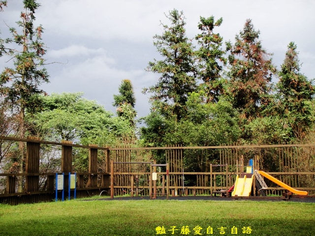南投旅遊＆台灣最美麗的森林小學。鹿谷內湖國小【豔子藤旅遊全地圖】登上聯合新聞網首頁
