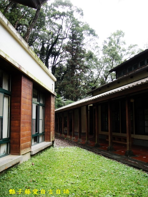 南投旅遊＆台灣最美麗的森林小學。鹿谷內湖國小【豔子藤旅遊全地圖】登上聯合新聞網首頁