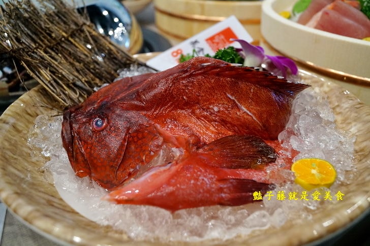 【蒸食在台中美食婚宴會館】台中南屯區海鮮餐廳.原味蒸活海鮮.雙龍蝦與海中王肥豬蝦.粥底依然是精華之所在