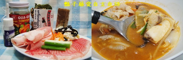 煲炖湯品＆葵果泰式酸辣湯。異國美食方便煮【豔子藤美食嚐鮮試吃報告】(開心得獎~葵果部落格徵文)