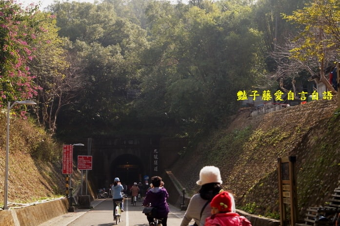 后豐鐵馬道一日遊．減肥甩肉飽覽美景【豔子藤旅遊全地圖】