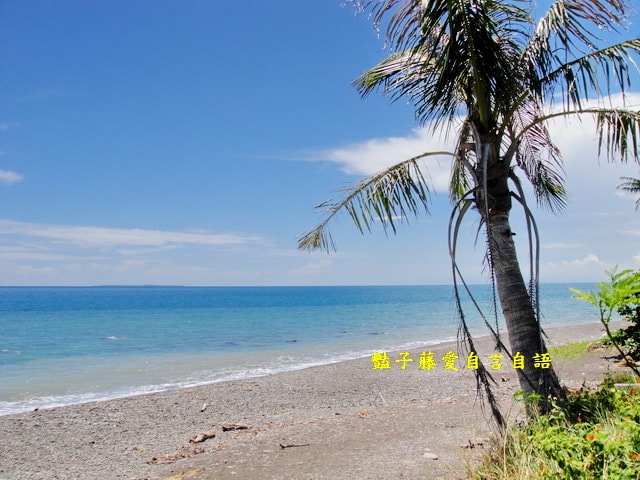 【枋山海邊無敵海景】墾丁旅遊．台灣原來這麼美．豔子藤旅遊地圖
