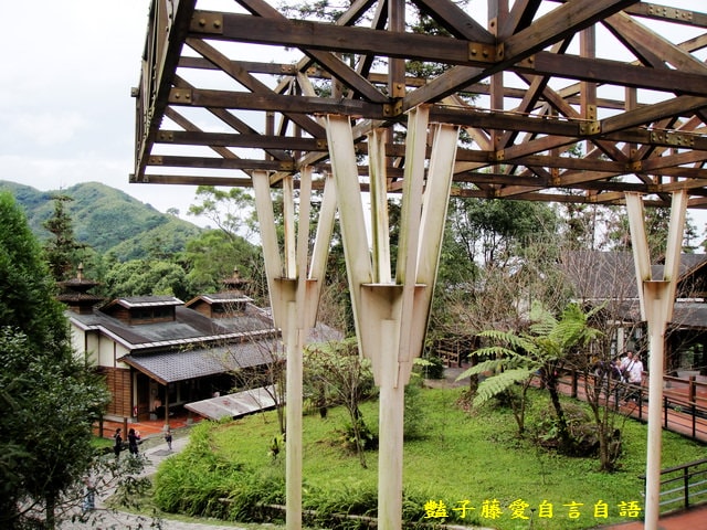 南投旅遊＆台灣最美麗的森林小學。鹿谷內湖國小【豔子藤旅遊全地圖】登上聯合新聞網首頁