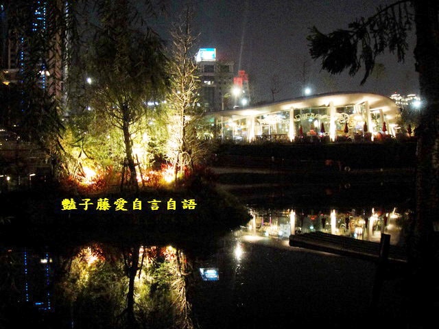 台中旅遊＆秋紅谷廣場。一場美麗的意外【豔子藤旅遊全地圖】