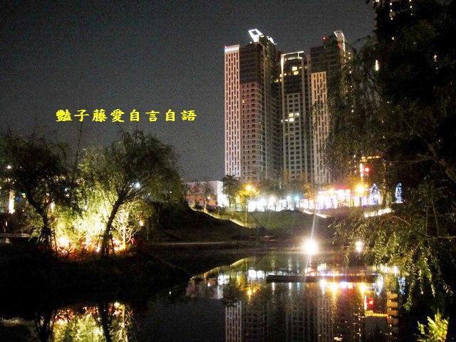 台中旅遊＆秋紅谷廣場。一場美麗的意外【豔子藤旅遊全地圖】