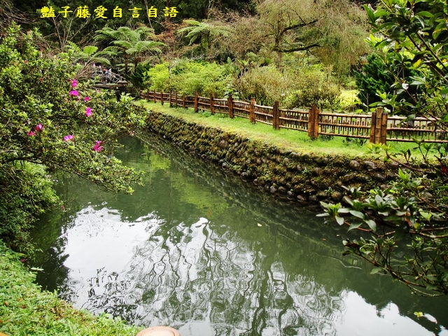 南投旅遊＆遇見可愛松鼠。你可以再靠近一點【豔子藤旅遊全地圖】