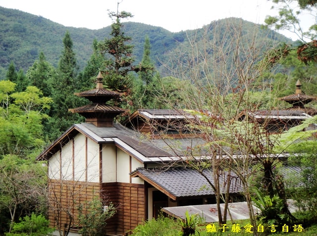 南投旅遊＆台灣最美麗的森林小學。鹿谷內湖國小【豔子藤旅遊全地圖】登上聯合新聞網首頁