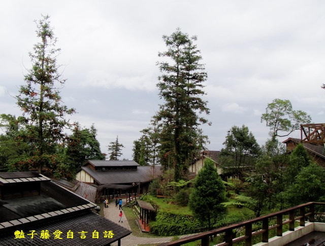南投旅遊＆台灣最美麗的森林小學。鹿谷內湖國小【豔子藤旅遊全地圖】登上聯合新聞網首頁