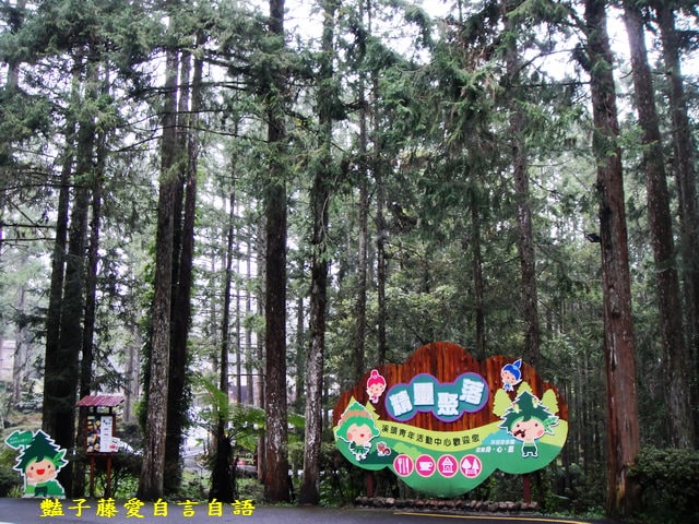 南投旅遊＆溪頭探索森林。精靈聚落喜迎芬多精的洗禮【豔子藤旅遊全地圖】