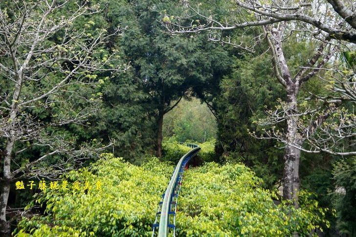 【南投旅遊泰雅渡假村】北港溪溫泉泡湯親子遊．福氣又安康偶像劇拍攝景點．天空步道尋找賽德克時光隧道