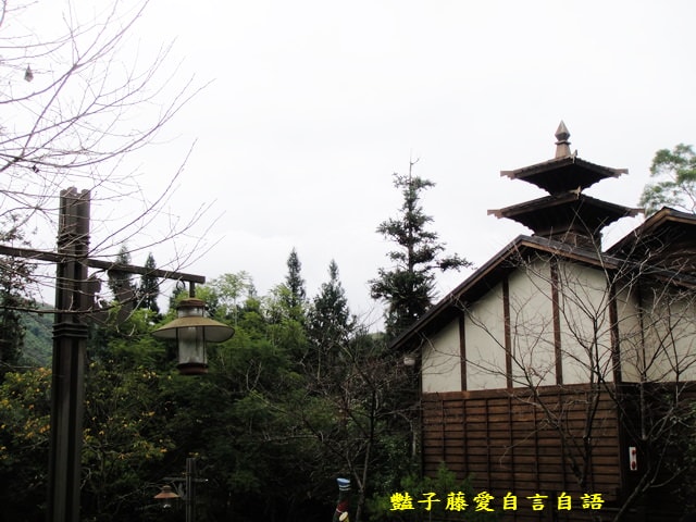 南投旅遊＆台灣最美麗的森林小學。鹿谷內湖國小【豔子藤旅遊全地圖】登上聯合新聞網首頁