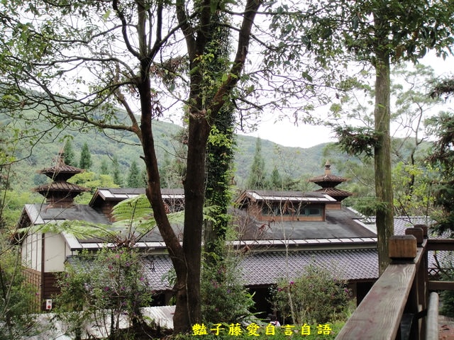 南投旅遊＆台灣最美麗的森林小學。鹿谷內湖國小【豔子藤旅遊全地圖】登上聯合新聞網首頁