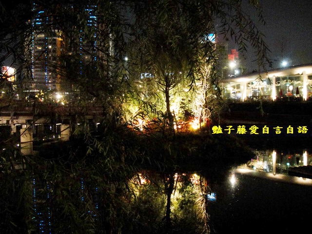 台中旅遊＆秋紅谷廣場。一場美麗的意外【豔子藤旅遊全地圖】