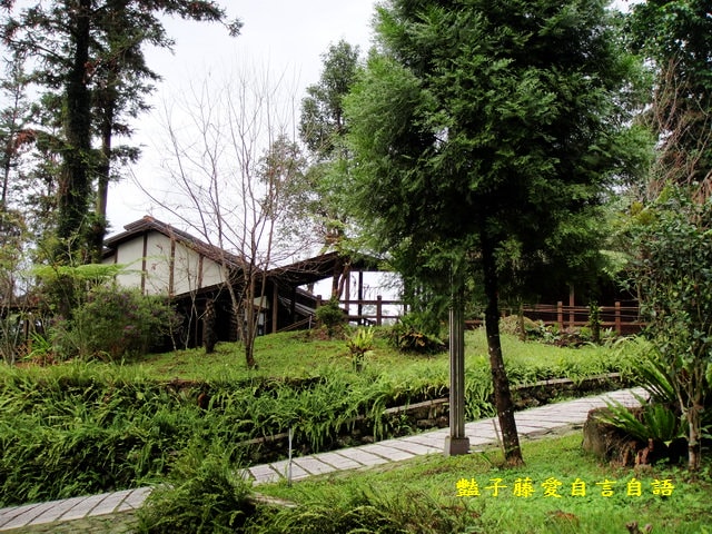 南投旅遊＆台灣最美麗的森林小學。鹿谷內湖國小【豔子藤旅遊全地圖】登上聯合新聞網首頁