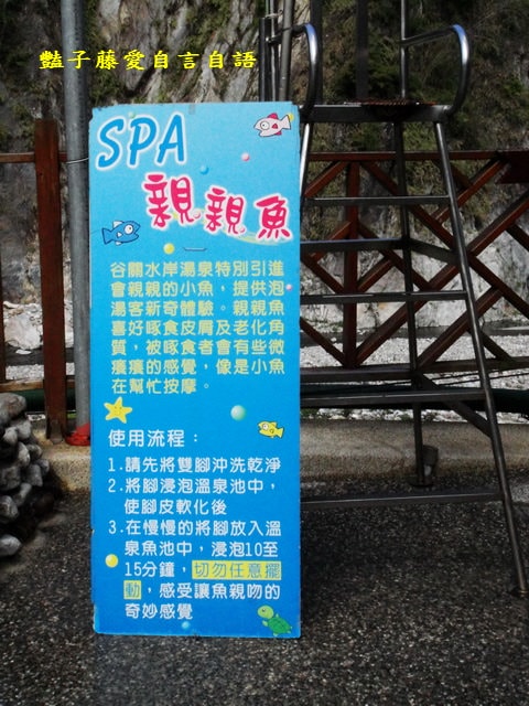 台中旅遊＆統一谷關溫泉養生會館。日式庭園露天溫泉泡湯去【豔子藤旅遊全地圖】