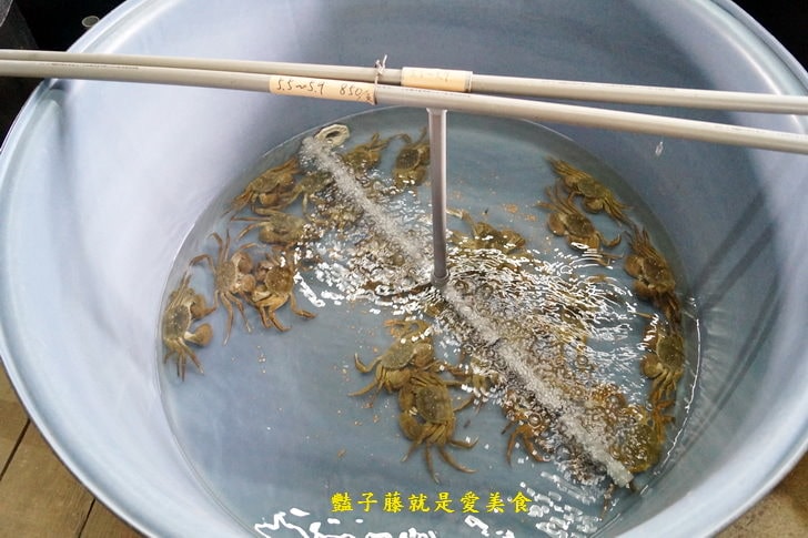 【慶東大閘蟹生態農場】秋蟹肥美.品嚐大閘蟹最佳賞味期.古早味爌肉肥嫩瘦Ｑ農家菜.兔兔天竺鼠可愛動物區