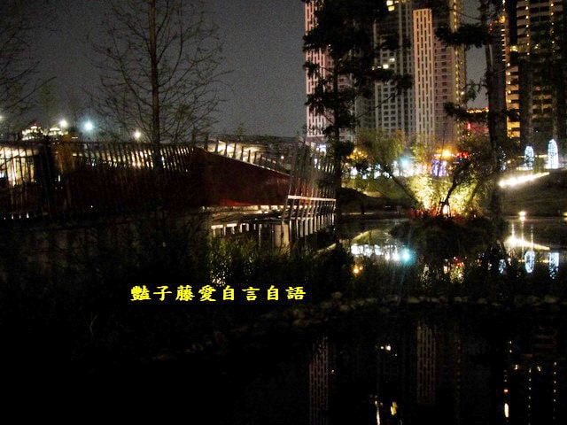 台中旅遊＆秋紅谷廣場。一場美麗的意外【豔子藤旅遊全地圖】