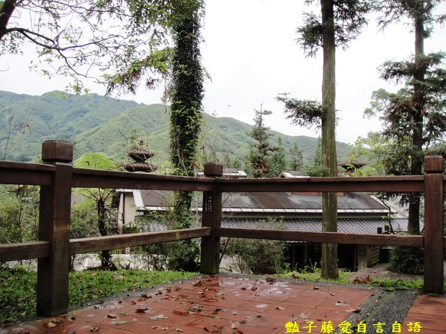 南投旅遊＆台灣最美麗的森林小學。鹿谷內湖國小【豔子藤旅遊全地圖】登上聯合新聞網首頁