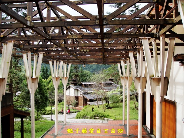 南投旅遊＆台灣最美麗的森林小學。鹿谷內湖國小【豔子藤旅遊全地圖】登上聯合新聞網首頁