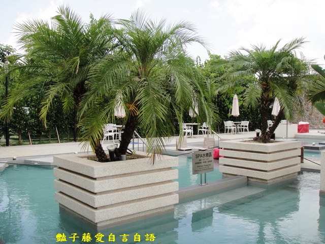 台中旅遊＆清新溫泉。中台灣新溫泉鄉相約來泡湯SPA【豔子藤旅遊全地圖】