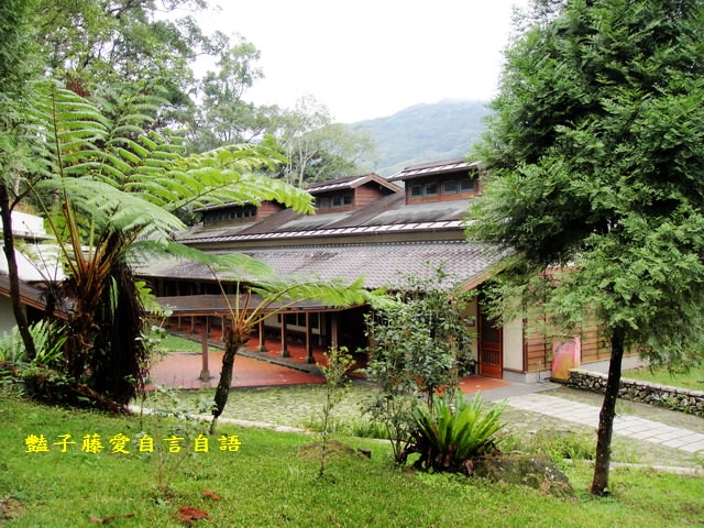 南投旅遊＆台灣最美麗的森林小學。鹿谷內湖國小【豔子藤旅遊全地圖】登上聯合新聞網首頁